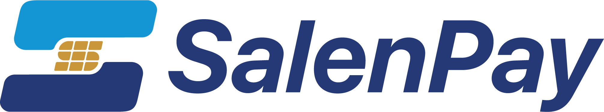 SalenPay — Smarter Payment Solutions for Every Business